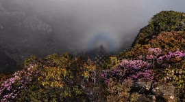 Tourist captures footage of mysterious colorful halo while hiking in China
