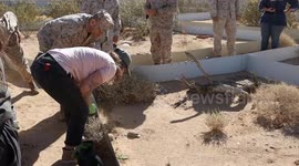 U.S. Marines join tortoise conservation efforts in California