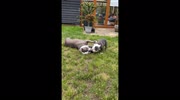 temp