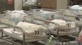 Japan: Tokyo launches dating app to counter historic low in births