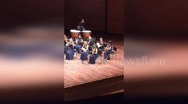 Cat gatecrashes performance at Istanbul Classical Music Festival