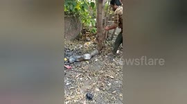 Dog rescued after getting head stuck inside box in India