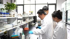 China: Chinese researchers develop nanomaterial inhibiting tumor growth by over 80 pct