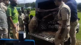 In Tamilnadu forest workers drinking water and making the elephant calf ,who has been abandoned by his mother elephant