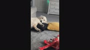temp