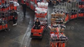 China: Asia's top flower market blooms on growing demand