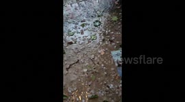 US: Large Hail And Storm Damage In Summerville, SC