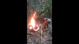 Residents burned a large python in Indonesia after it ate a woman
