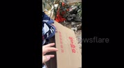 temp