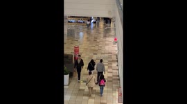 Stubborn dog guards stuffed animal in Santiago shopping area