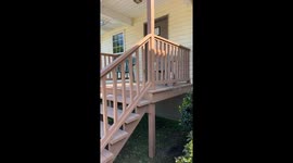 Intimate encounter: lizards spotted mating on Attalla porch