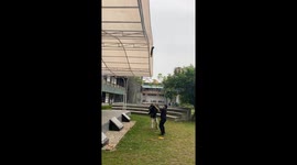 Cat rescued after rooftop fight at Sepuluh Nopember Institute of Technology, Surabaya