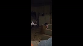 Small orbs come out of nowhere flying through the basement