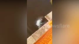 Peru: Brave Cop Jumps 130ft Off Bridge To Save Drowning Woman