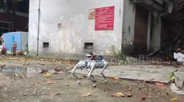 USA: Robot Dog Sniffs Out Hazardous Gases in Inaccessible Environments