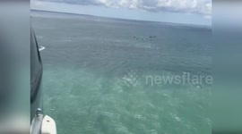 Italy: 76 Passengers Rescued After Tourist Ship 'Audace' Narrowly Avoids Sinking off Grado Coast