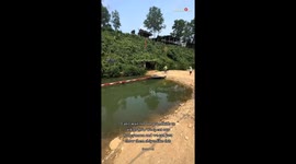 Man takes time out of his honeymoon to face the infamous Monkey Bridge challenge