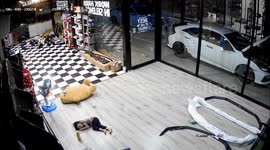 Huge snake leaps from box just inches from toddler