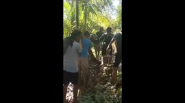 A giant python weighing 100kg that preys on cows and chickens was caught by residents in Southeast Sulawesi, Indonesia