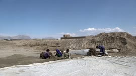 19 pct children engaged in child labor in Afghanistan: OCHA