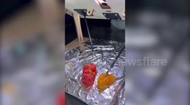 Trainee surgeon devises clever way to develop his skills - by practicing on fruit