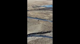 Breeding season begins for grey herons in N China