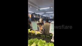 China: Cat sits on owner's shoulder during grocery shopping in Shuangliu