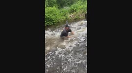 Fisherman overwhelmed by 'tsunami' of carp swimming in river