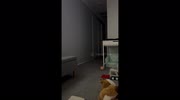 temp