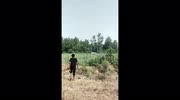 temp