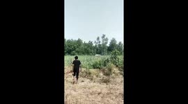 Elephant kills onlooker, 30, who was trying to record video of jumbo