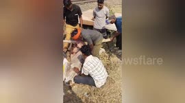 Injured cow hit by train tended to by locals in Madhya Pradesh, India