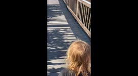 Green gladiators: Family witnesses green anoles' battle at Weedon Island Preserve