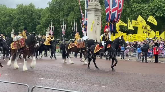 Horses get agitated and refuse to march in the Trooping the Colour parade