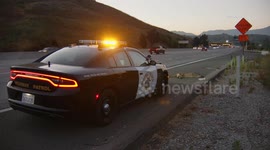 USA: Agoura Hills Mountain Lion Killed on 101 Freeway Near Wildlife Crossing