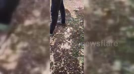 Israel: Indian Agricultural Laborers Document Hezbollah Rocket Attack in Northern Israel