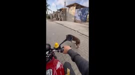 Playful encounter: motorbiker chases barking dog in Gurupi, Brazil