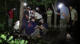 One-eyed tiger 'Balakol' returns to forest in Thailand