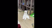 temp
