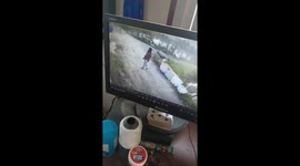 Chinese Woman Unexpectedly Knocked Over by Energetic Dog in Countryside