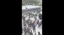 Bystanders Save a Baby Duckling From Falling Off the Building Awning