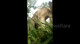 how my life gone this week