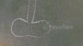 Sheep farmer has a bit of rude fun with a drone