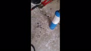 temp