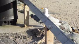 Persistence Pays Off