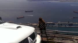 Monkey steals man's cap in Gibraltar