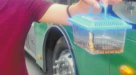 Man dumps snake on bus after being denied access on board