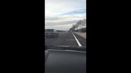 Falcon Field Plane Crash