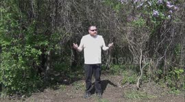 Life Hack (Quick And Easy Way To Relieve A Stiff Back)