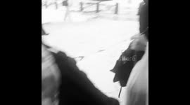 Hailstorm in Pisa [05.19.16]